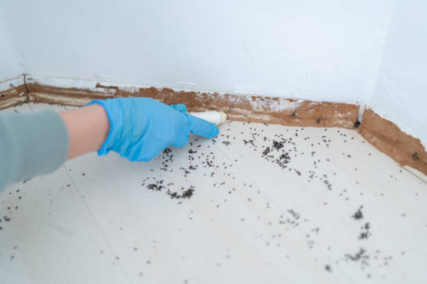 Best Pest Exclusion Services  in Chalfant, CA